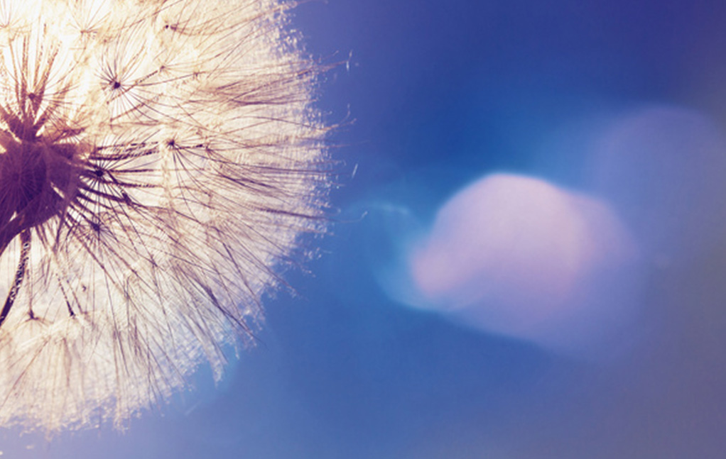 1xBET Signup(中国)-官方网站